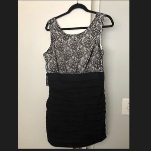Express lace black dress NWT size 12